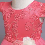 Toddler Girls Flower Flying Sleeve Formal Dress Pearls Gowns Dress
