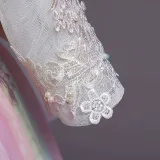 Toddler Girls Embroidery Flowers Rainbow Tutu Bowknot Back Lace Formal Gowns Dress