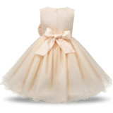 Toddler Girls 3D Floral Mesh Lace Formal Dress Sleeveless Gowns Dress