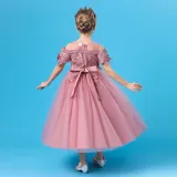 Toddler Girls Embroidery Flower Mesh Short Sleeve Formal Dress Lace Gowns Dress
