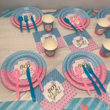 Boy or Girl Theme Baby Birthday Decoration with Tablecloth Tableware Tissue Dinner Plate Paper Cup Set