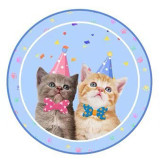 Pet Cat Theme Birthday Decoration with Tablecloth Tableware Tissue Dinner Plate Paper Cup Set