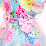 Toddler Girls Blue Flowers Pink Bowknot Mesh Gowns Dress