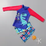 Kid Boy Dinosaur Long Sleeve and Trunks Swimsuit Set