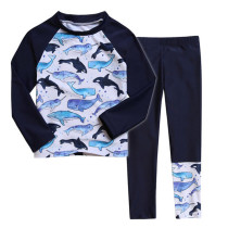 Kid Boy Long Sleeve Beach Sun Protection Quick Dry Whale Swimsuit Set