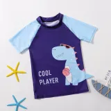 Kids Boys Dinosaur Short Sleeve Sunscreen Swimsuit Two Pieces