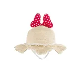 Kids Cartoon Antlers Wide Brim Straw Beach Sunhat With Bucket Bag Set