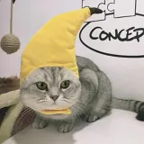 Pet Hat Fruits Styles Cap Adjustable Party Headwear For Cat Dog