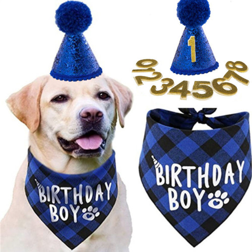 Pet Birthday Party Supplies Hat and Boy Doggy Birthday Scarf Set with 0-8 Figures