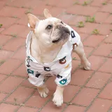 Dog Bear Pattern Raincoats Waterproof with Reflective Strap Jacket