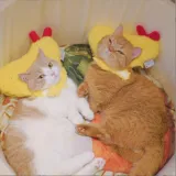 Pet Hat Fried Shrimp Headgear Ornament Puppy Cat Hat