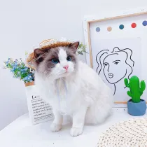 Pet Straw Sombrero Hat Pet Sun Lace Cap with Flowers