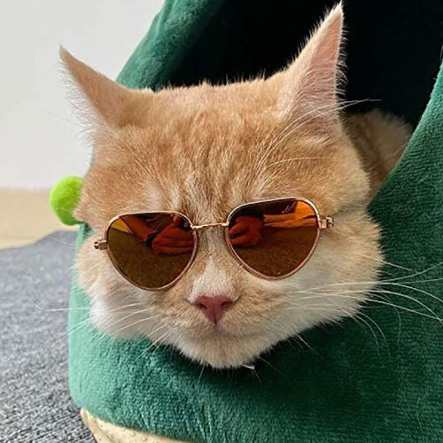 Pet Sunglasses Heart Metal Frame Retro Flash Sunglasses For Dog Cat