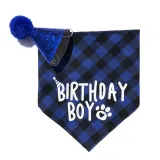 Pet Birthday Party Supplies Hat and Boy Doggy Birthday Scarf Set with 0-8 Figures