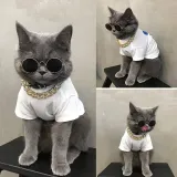 Pet Dog Cat Cool Black Sunglasses Gold Chain Collar Hat Necktie Costume Set