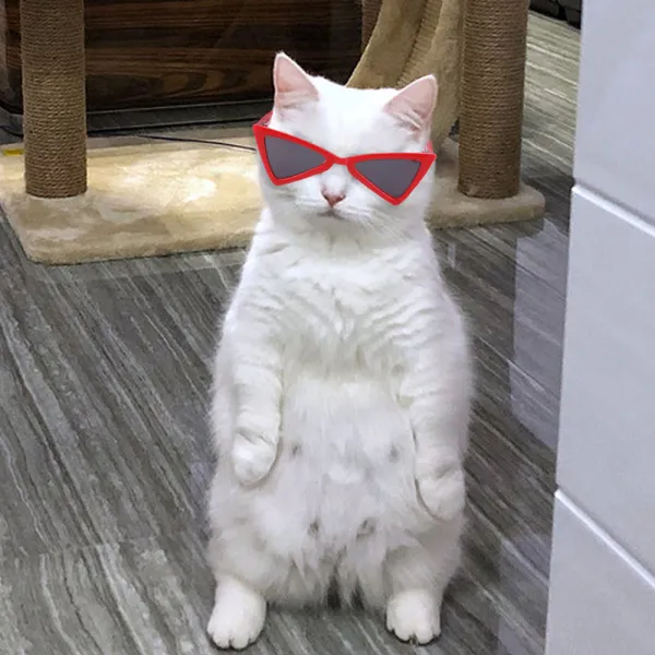 Pet Sunglasses Triangle Plastic Frame Cool Glasses For Dog Cat
