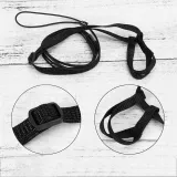 Parrots Fly Ropes Walking Out Pet Supplies Parrot Chest Strap