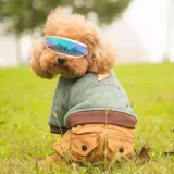 Pet Sunglasses UV Protection Goggles Windproof Waterproof Glasses For Eyes Protective