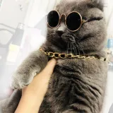 Pet Dog Cat Cool Black Sunglasses Gold Chain Collar Hat Necktie Costume Set
