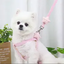 Starfish Leash Walking Out Pet Supplies Dog Cat Chest Strap