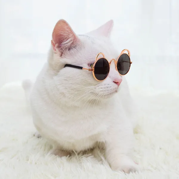 Pet Sunglasses Round Metal Cat Ear Frame Retro Flash Glasses For Dog Cat