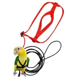 Parrots Fly Ropes Walking Out Pet Supplies Parrot Chest Strap