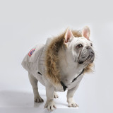 Pet Cat Dog Down Jacket Hoodie Coat Pet Vest Warm Clothing With Pocket