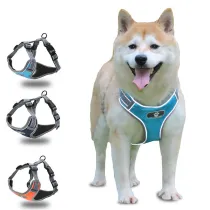 Reflective Chest Strap For Medium And Large Dogs