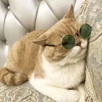 Pet Sunglasses Round Metal Frame With Anti-Slip Strap For Dog Cat