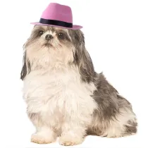Pet Cowboy Adjustable Hat Funny Costume Accessories