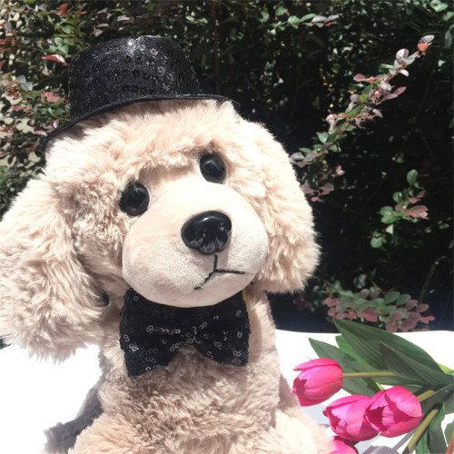 Pet Costume Top Hat Bow Ties for Dogs Funny Accessories