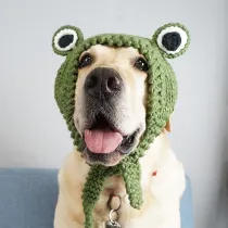 Pet Costume Cat Dog Hats Handmade Knitted Frog Hat
