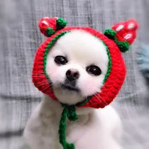 Pet Costume Adjustable Cat Dog Fruit Hats Handmade Knitted Strawberry Hat