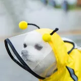Pet Dog Raincoat Cute Cartoon Bee Dinosaur Four-Legged Hooded with Reflective Strap