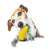 Dog Toy Corn Molar Stick Resistant To Gnawing Toothbrush Vent Toy Chew