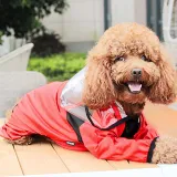 Dog Waterproof Raincoats Lightweight Hood Poncho Jacket with Reflective Strap