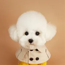Khaki Suit Shawl Adjustable Dog Cat Scarf