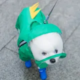 Pet Dog Raincoat Cute Bear Style Four-Legged Hooded with Reflective Strap