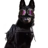 Dog Goggles UV Sunglasses Windproof Snowproof Soft Frame Glasses Eyes Protectionat