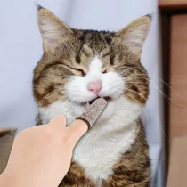 Pet Toothbrushing Finger Set Teeth Oral Cleaning Tools Cat Dog Finger Toothbrush Pet Supplies