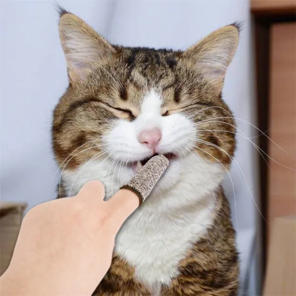 Pet Toothbrushing Finger Set Teeth Oral Cleaning Tools Cat Dog Finger Toothbrush Pet Supplies