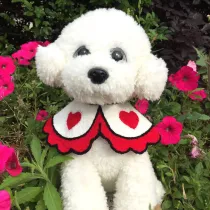 Hand Crocheting Knit Hearts Shawl Adjustable Dog Cat Scarf