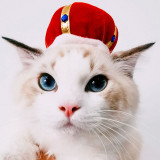 Pet Hats Cute Novelty Crown Adjustable Headwear Festival Costume for Cats Dogs