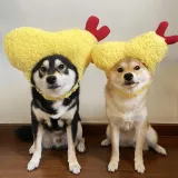 Pet Hat Fried Shrimp Headgear Ornament Puppy Cat Hat