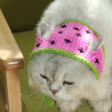 Pet Costume Pitaya Adjustable Cat Dog Hats Handmade Knitted Fruit Hat