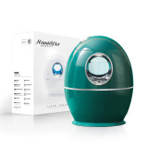Home Humidifier Car Aromatherapy Desktop Air Humidifier USB Nebulizer