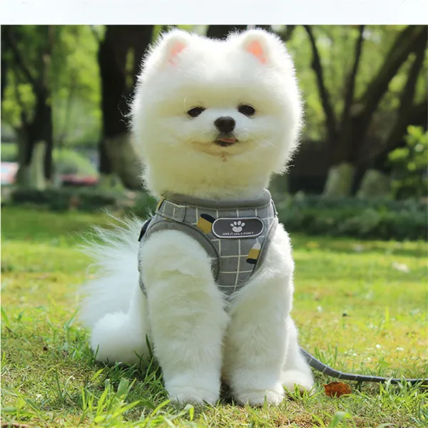 Reflective And Breathable Dog Leash Small Dog Vest Type Pet Leash