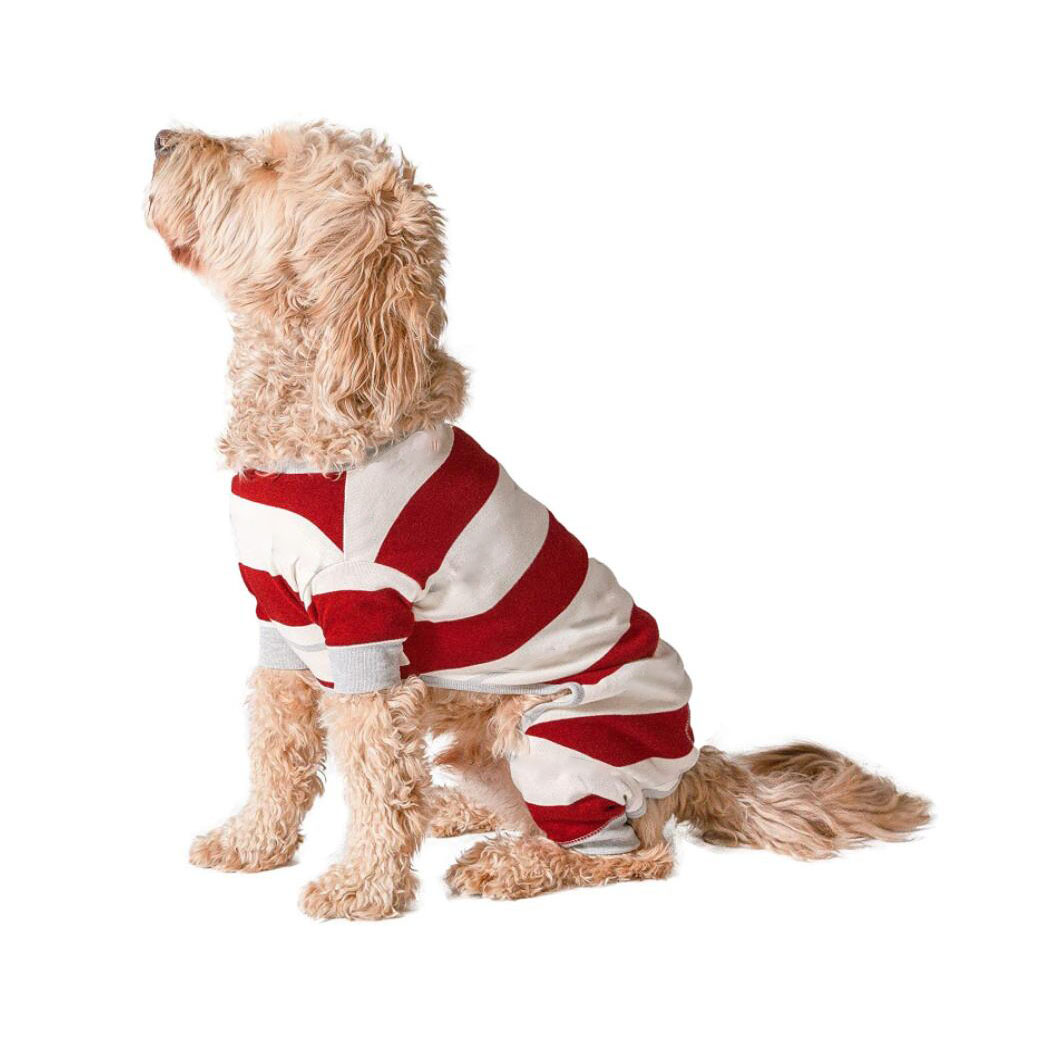 Red White Stripe Dog Christmas Cloth With Hat