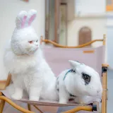 Pet Hat Cartoon Adjustable Cap Rabbits Ear Cosplay Easter Party Headwear For Cat Dog