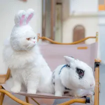Pet Hat Cartoon Adjustable Cap Rabbits Ear Cosplay Easter Party Headwear For Cat Dog